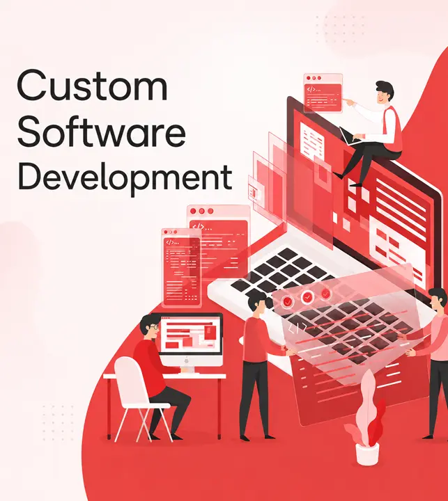 Custom software development by Neutrons